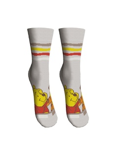 Носки Master Socks