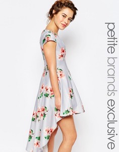 Платье мини для выпускного со сплошным цветочным принтом True Decadence Petite - Мульти