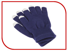 Теплые перчатки для сенсорных дисплеев iGlover Classic р.UNI Blue