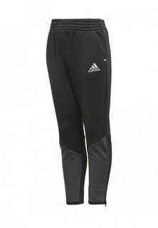 adidas LB STRIKER PANT