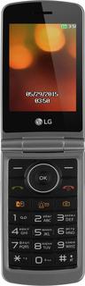 Мобильный телефон LG G360 (титан)