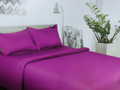 Постельное белье Этель Пурпурное сияние Комплект 2 спальный Сатин 2733577