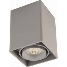 Потолочный светильник Donolux DL18611/01WW-SQ Silver Grey