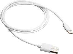 Кабель Canyon CNE-USBC1 USB-USB-C 1м (белый)