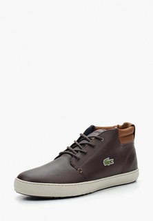 Кеды Lacoste AMPTHILL TERRA 317 1