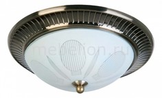 Накладной светильник Fae TL5060Y-02AB Top Light