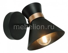 Спот Baltimore A1406AP-1BK Arte Lamp