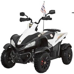 Детский спортивный электроквадроцикл Dongma ATV White 12V - DMD-268A-W