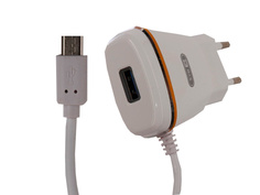 Зарядное устройство BYZ ZL-767 с кабелем MicroUSB White