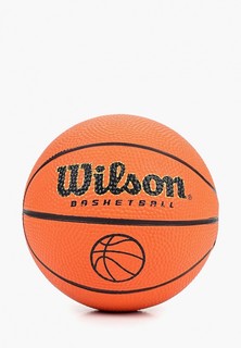 Мяч баскетбольный Wilson MICRO BALL