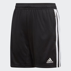 Шорты Tiro 19 adidas Performance