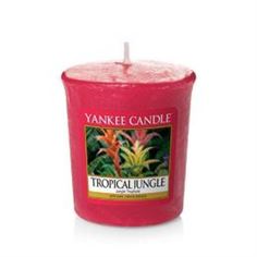 Свечи, подсвечники, аромалампы Аромасвеча для подсвечника Yankee candle Тропические джунгли 49 г