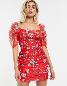 Красное пляжное платье с цветочным принтом Charlie Holiday - Мульти
