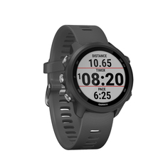 Спортивные часы Garmin Forerunner 245 GPS EU Black/Slate Forerunner 245 GPS EU Black/Slate