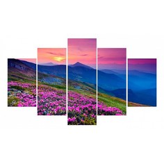 Набор из 5 картин (150х90 см) Горы и цветы HE-107-241 Ekoramka