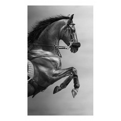 Картина (30х50 см) Лошадь на дыбах HE-101-499 Ekoramka