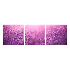 Набор из 3 картин (150х50 см) Лаванда панорама HE-107-267 Ekoramka