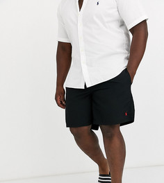 Черные шорты для плавания с логотипом Polo Ralph Lauren Big & Tall Traveler-Черный