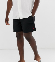 Черные шорты для плавания с логотипом Polo Ralph Lauren Big & Tall Traveler-Черный