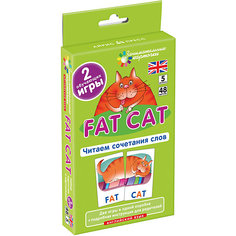 Занимательные карточки "Английский язык: Толстый кот (Fat Cat)" Level 5, Клементьева Т. АЙРИС пресс