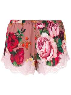 Dolce & Gabbana Underwear трусы-брифы с цветочным кружевом