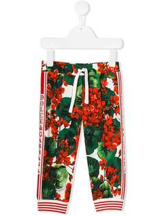 Dolce & Gabbana Kids спортивные брюки с принтом Portofino