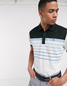 Polo golf 2024 calvin klein