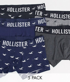 Набор из 5 боксеров-брифов с логотипом на поясе Hollister-Мульти