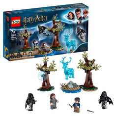 Конструктор LEGO Harry Potter 75945 Экспекто Патронум!