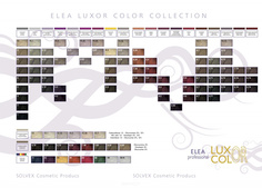 Domix, Крем-краска для волос Luxor Color, 60 мл (59 оттенков) 4.71 шатен коричнево-пепельный Elea Professional