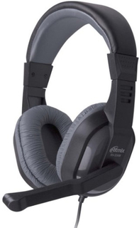 Наушники с микрофоном Ritmix RH-534M Grey