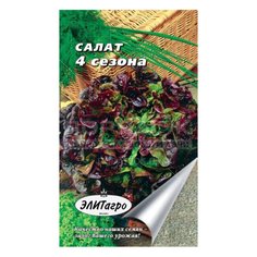 Семена Салат 4 сезона, 0.5 г, в цветной упаковке ЭлитАгро