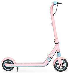 Электросамокат NINEBOT-BY-SEGWAY eKickScooter Zing E8 Pink