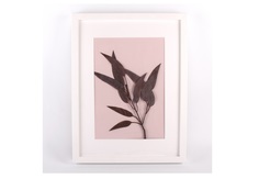 Картина-панно с эвкалиптом (wowbotanica) розовый 32x42 см.