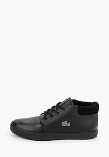 Кеды Lacoste AMPTHILL TERRA PUT SPM