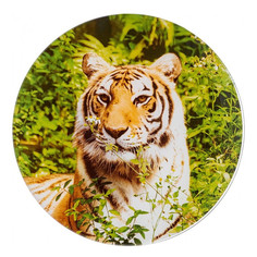 Блюда блюдо WALMER Тигр круглое 24см стекло