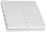 Настенный выключатель Geozon PS-02 white (GSH-SСE02)