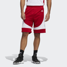 Баскетбольные шорты N3XT L3V3L Prime adidas Performance
