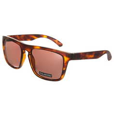 Мужские солнцезащитные очки The Ferris Polarised Quiksilver