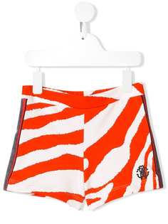 Roberto Cavalli Junior Трикотажные шорты с принтом Zebra