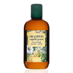 ARDES Шампунь для жирных волос, от облысения Shampoo capelli grassi