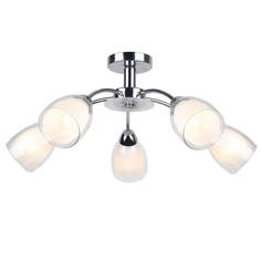 Люстра Потолочная люстра Arte Lamp 53 A7201PL-5CC