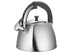 Чайник Regent Inox Linea Tea 3L 93-TEA-30