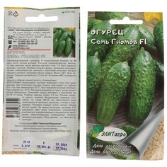 Семена Огурец, Семь Гномов F1, 0.3 г, цветная упаковка, ЭлитАгро