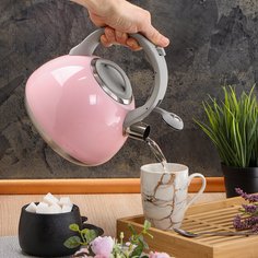 Чайник нержавеющая сталь, 2.7 л, со свистком, ручка бакелитовая, с силиконовым покрытием, Daniks, индукция, розовый, M-083P