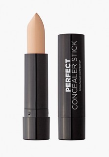 Корректор Eva Mosaic Perfect Concealer Stick, 01, 5 г