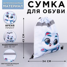 Мешок для обуви со светоотражающим элементом Art Fox