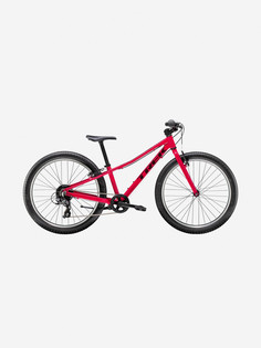 Велосипед подростковый женский Trek Precaliber 24 8SP 24", 2022, Розовый
