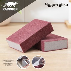 Набор губок чистящий raccoon