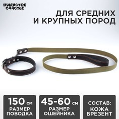 Комплект : ошейник (45-60х2.5 см) кожаный и поводок (150х2.5 см) брезентовый, цвет черный Пушистое счастье
